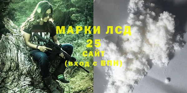 прущие грибы Баксан