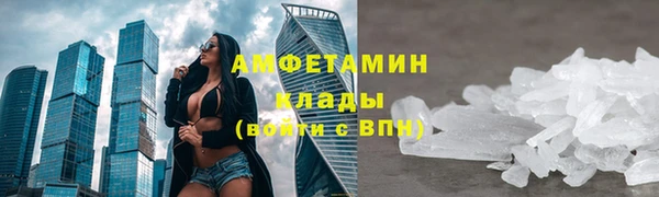 прущие грибы Баксан