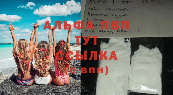 прущие грибы Баксан