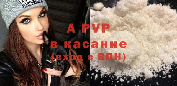 прущие грибы Баксан