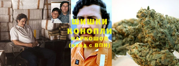прущие грибы Баксан