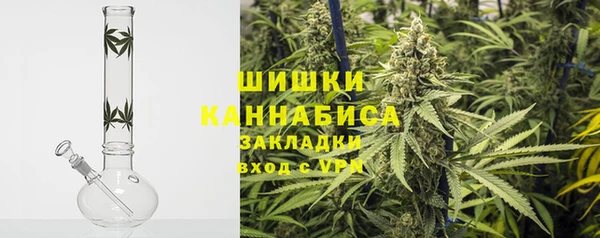 прущие грибы Баксан
