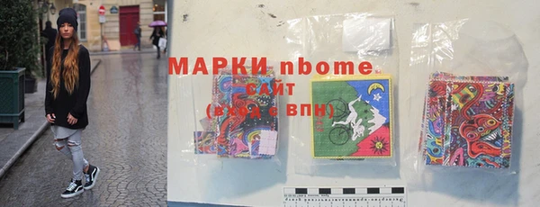 прущие грибы Баксан